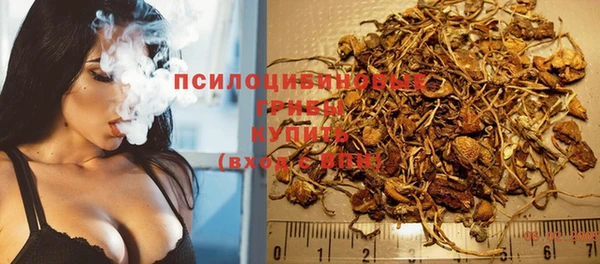 spice Горно-Алтайск