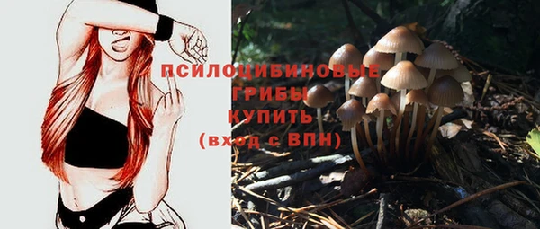 MDMA Premium VHQ Горнозаводск