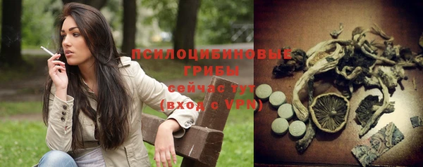MDMA Premium VHQ Горнозаводск